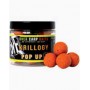 Pop up KRILLOGY